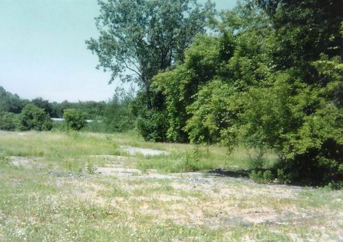 Pontiac Drive-In Theatre - 1994 Lot From Greg Mcglone